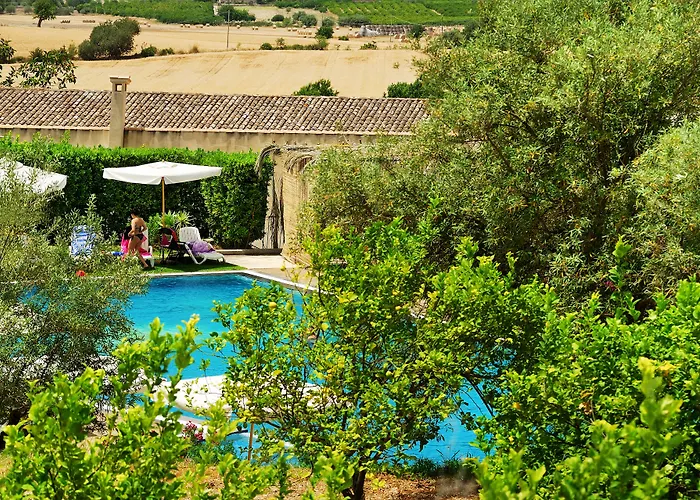 Kallikoros Country Resort & Spa